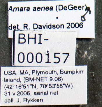Media type: image;   Entomology 614252 Aspect: labels